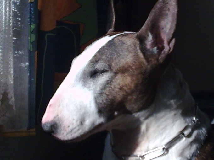 photo009