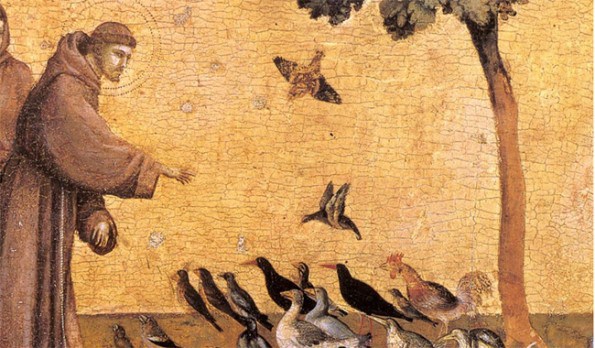 Saint Francois D Assise L Homme Qui Parlait Aux Animaux Centre Kami Saint Francois D Assise L Homme Qui Parlait Aux Animaux Centre Kami