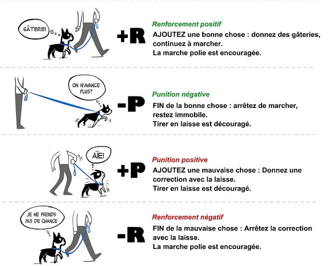 comportement-operant