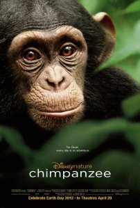 chimpanzee-film-2012