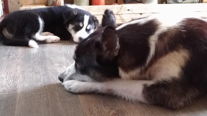 P_20180509_140312_vHDR_Auto